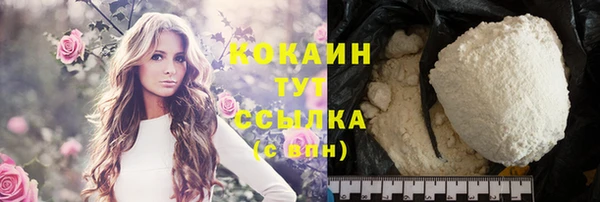 гашик Ладушкин