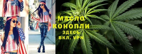 гашик Ладушкин