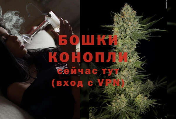 дмт Калининец