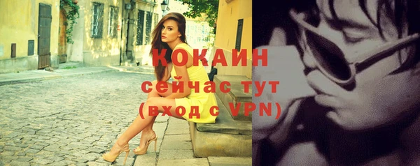 дмт Калининец