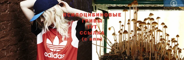 кристаллы Нестеровская