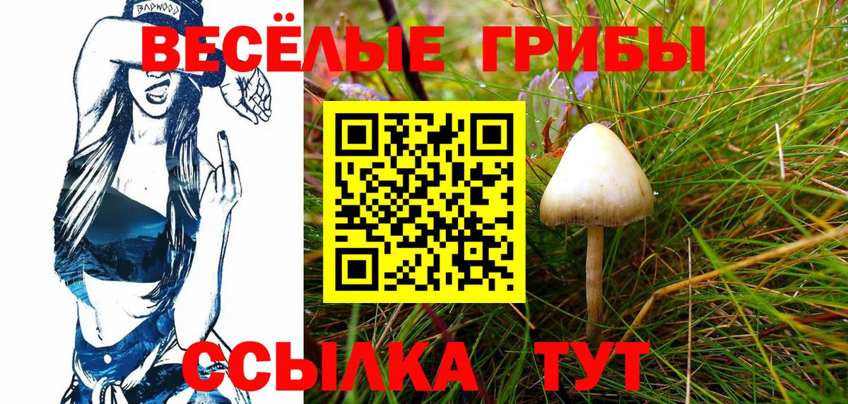 хочу наркоту  Вход с VPN  Химки  Галлюциногенные грибы Cubensis 